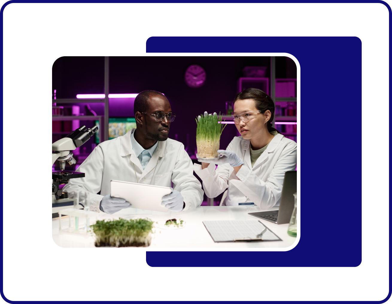 science and agriculture for sustainable development